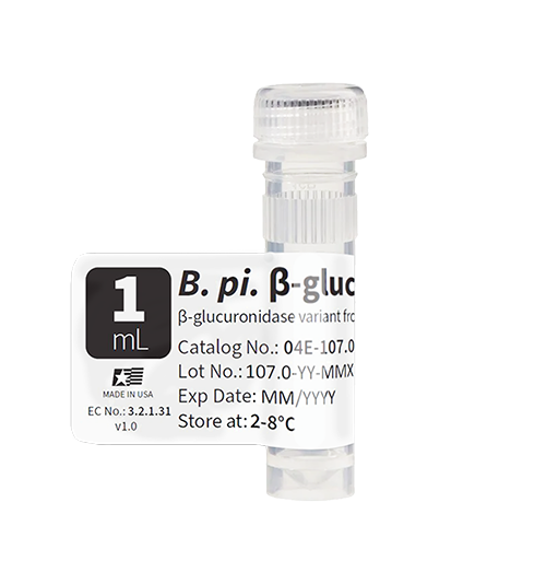 B. pi. β-glucuronidase variant