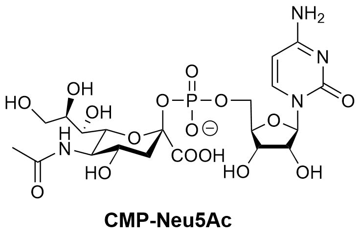 CMP-Neu5Ac